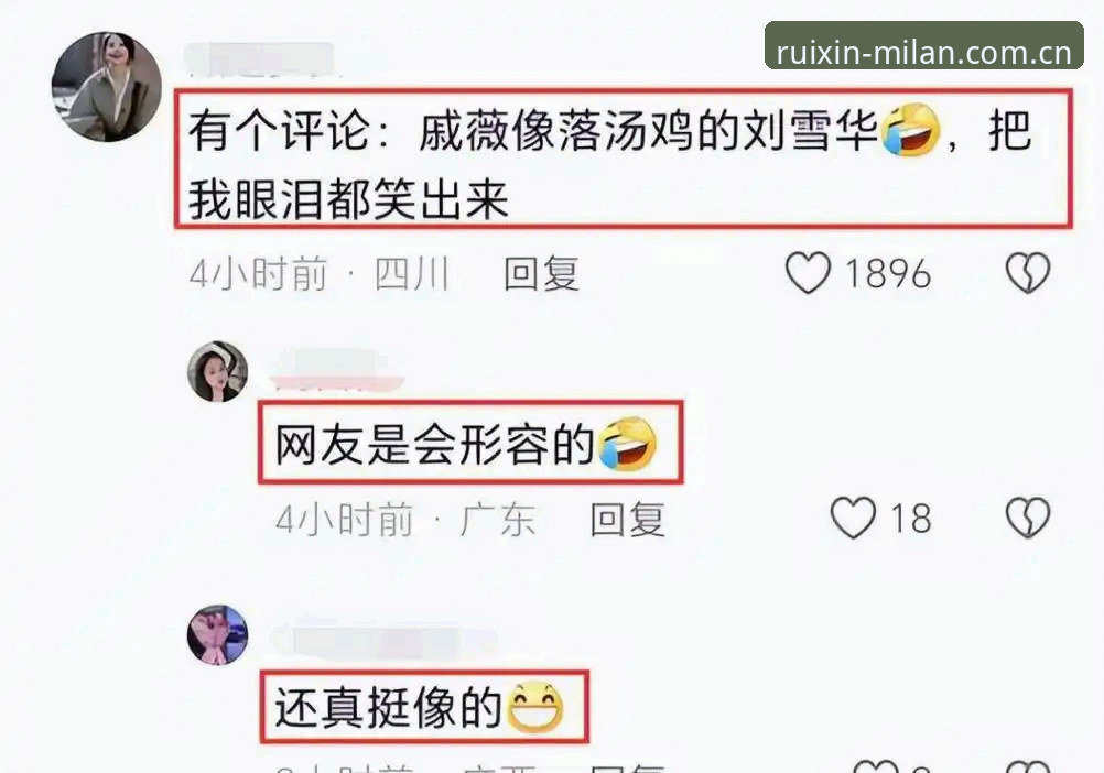 揭秘贵趣APP米兰官网选择逻辑：两个版本背后，藏着90%用户不知道的数据差